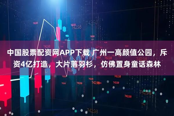 中国股票配资网APP下载 广州一高颜值公园，斥资4亿打造，大片落羽杉，仿佛置身童话森林