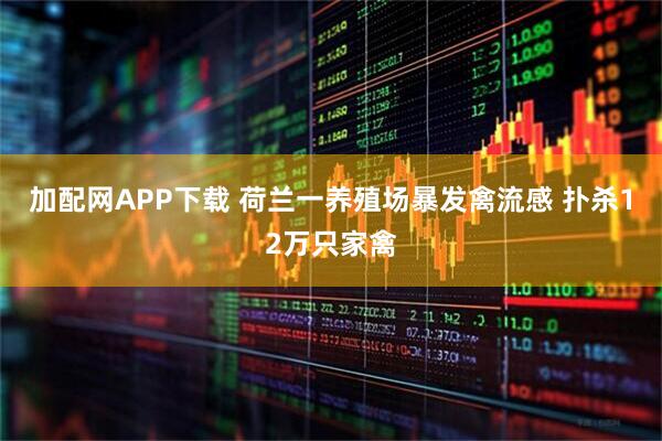 加配网APP下载 荷兰一养殖场暴发禽流感 扑杀12万只家禽