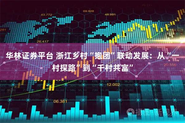 华林证券平台 浙江乡村“抱团”联动发展：从“一村探路”到“千村共富”