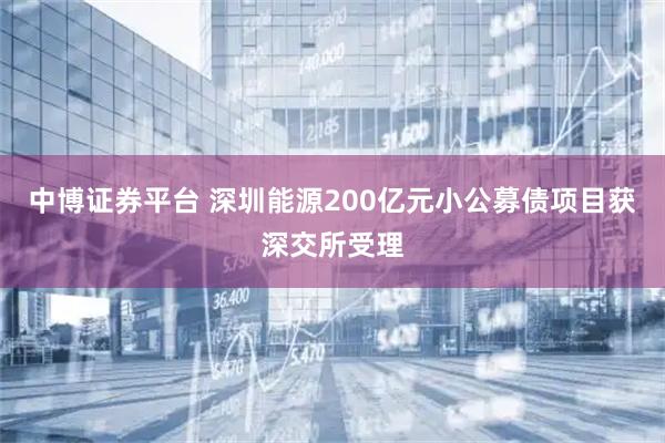 中博证券平台 深圳能源200亿元小公募债项目获深交所受理