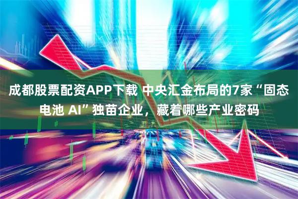 成都股票配资APP下载 中央汇金布局的7家“固态电池 AI”独苗企业，藏着哪些产业密码
