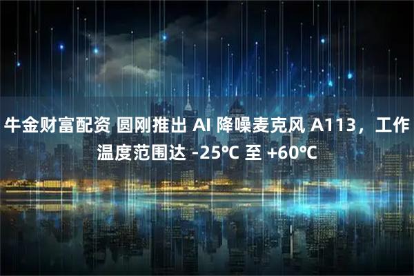 牛金财富配资 圆刚推出 AI 降噪麦克风 A113，工作温度范围达 -25℃ 至 +60℃